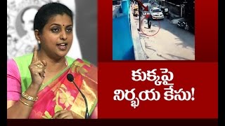 MLA Roja On Minister Ravela Kishore Babu's Son Molestation Case | Demands To Suspend Minister