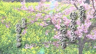 きょうの俳句【兼題：いぬふぐり】武智しのぶ（埼玉県）作　2020年2月11日放送（No.350）