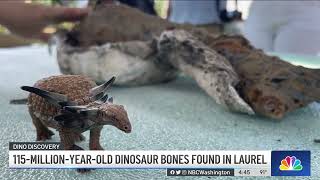 Rare bone bed found at Dinosaur Park in Laurel, Maryland | NBC4 Washington