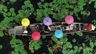 曼谷【樂活旅遊】 -  N行程 佛統紅蓮花水上市場龍波本廟火山蝦一日遊