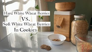 Which Fresh Milled Wheat is Better for Cookies, Hard White or Soft White?