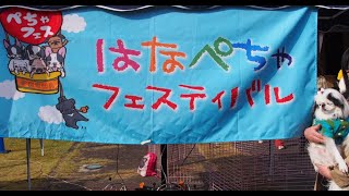 はなぺちゃ犬の日本最大のフェス🌟2022年はなぺちゃフェスティバル🐶