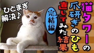 【猫 実験】猫タワーの爪研ぎのひも直してみた結果〜完結編〜