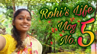 माझा 'पाचवा' व्लॉग..😊 | My Village Lifestyle | माझी गावाकडची जीवनशैली | Rohi's Life - Vlog No. 5