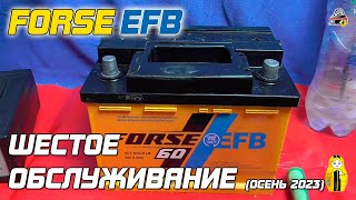 FORSE EFB - ШЕСТОЕ ОБСЛУЖИВАНИЕ (Осень 2023)