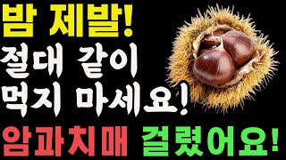 밤과 상극인 음식 TOP3! 절대 같이 먹지 마세요! 노년기 건강을 위해 먹는 밤, 이렇게 드셔야 암과 치매 예방할 수 있습니다. 밤효능.건강정보.