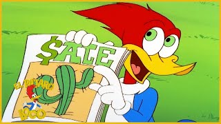 El Pájaro Loco en Español | 1 Hora de Compilación | Dibujos Animados en Español