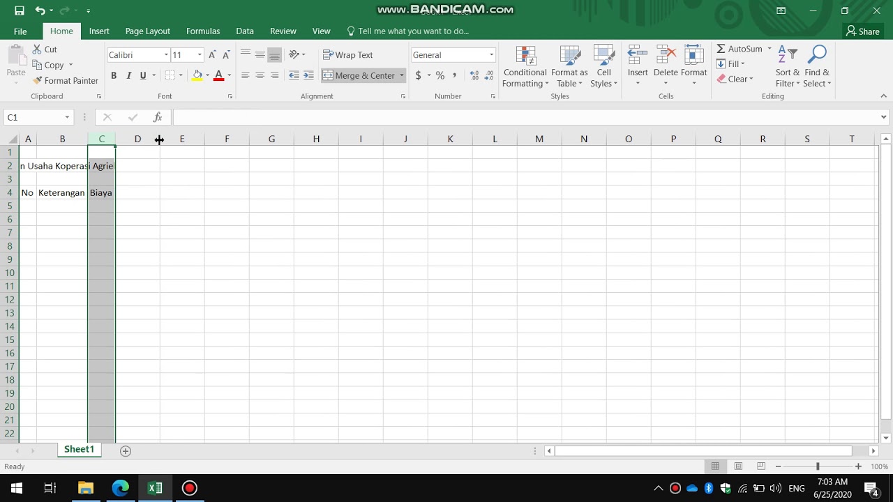 Tutorial Microsoft Excel Tab Home | Part 1 - YouTube