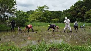 20220508 田植え with cafeスコラ