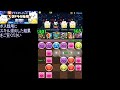 【パズドラ】たまドラの秘境☆人柱動画【新ゲリラ】