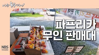 [나는농부다 312회] 파프리카 무인 판매대