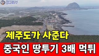 [올빼미TV] 중국인 소유 제주땅 혈세로 사들인다 ☆ 땅값 먹튀하고 떠난다