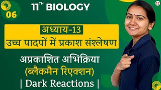 L-6, अप्रकाशित अभिक्रिया (ब्लैकमैन रिएक्शन) | Dark Reactions | अध्याय-13 | 11th Biology