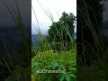 view from kallar malom road kappalli kasargod. view of ranipuram hills malayorahighway hillhighway