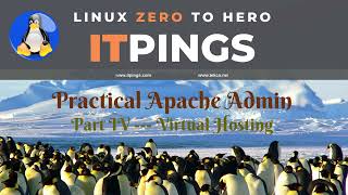 Practical Apache Admin Part 4 | Mastering Apache Virtual Hosting | @TekcoTechTutorials