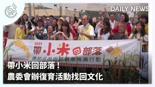 帶小米回部落！農委會辦復育活動找回文化｜每日熱點新聞｜原住民族電視台