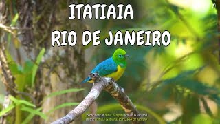 Observação de aves - Expedição Mata Atlântica - Itatiaia RJ (Trailer)