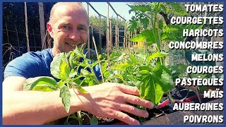10 légumes à semer ou planter en avril/mai au potager !