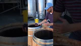 Red Wine Barrel Fermentation with Winemaker Peter Velleno