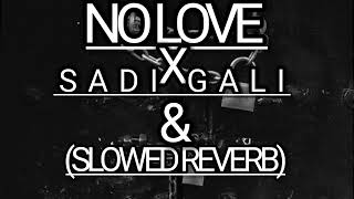 no love x Sadi gali (Slowed Reverb) MIX SR AVI YT