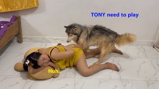 Aww!! When KOUCH need TONY help massage But TONY need to play very very much! finally what's happen?