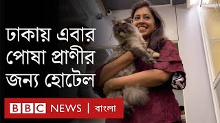 ঢাকায় পোষা প্রাণীর থাকার জন্য হোটেল খুলেছেন যারা || Furryghor - Hotel for Pets in Dhaka