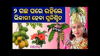 ୨ଟି ଗଛ ଘରେ ରହିଲେ, ଧନର ଖର୍ଚ୍ଚ ହୁଏ | Vastu tips odia | sadhu bani | ajira anuchinta | odia astrology