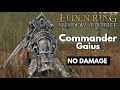 Elden Ring Shadow of the Erdtree I Commander Gaius I No Damage