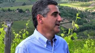 JAMESSUCKLING.COM - Chianti Classico - Fontodi - The Vineyard