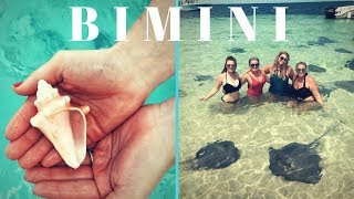 Bimini Bahamas Hilton Resort Vlog