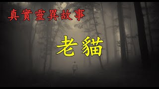 老貓  《真實靈異故事》