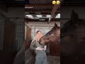 at avrat kokonat 😂 funny horse shorts cats cute tiktok crazy subscribe women trend