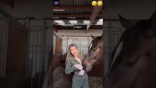 At avrat kokonat 😂 #funny #horse    #shorts #cats #cute #tiktok  #crazy  #subscribe  #women #trend