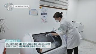 암을 억제하고 세포 재생에 도움을 주는 [고압산소치료] | 달콤한 인생 6회 | JTBC 230210 방송