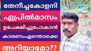 ഏപ്രിൽ മാസം തേനീച്ച കൂട് ഉപേക്ഷിച്ചു പോകാൻ കാരണം എന്തൊക്കെ?? #beekeeping#beefaming#honeybeefarming#.