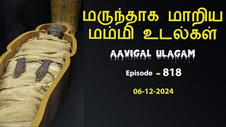 மருந்தாக மாறிய மம்மி உடல்கள் | Aavigal Ulagam - 818