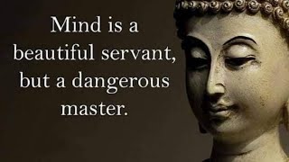 Great Buddha Quotes That Will Help You With Your Anxiety| Buddha Quotes | Psych Wisdom