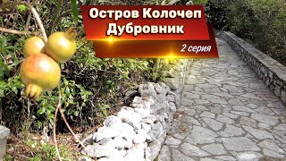 Дубровник, экскурсия по островам. Остров Колочеп, 2 серия