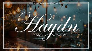 Classical Music for Reading | Haydn: Piano Sonatas (Full album stream)