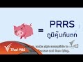 soเชี่ยว FAKE or FACT : ห้ามกินหมูและไก่ เนื่องจากเป็นเอดส์หมูหรือเอดส์ไก่ จริงหรือไม่ (16 ม.ค. 60)