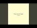 Pulse Velvet Fragile