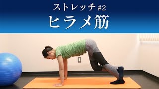 【膝が痛い時のストレッチ】ふくらはぎを伸ばせば膝痛が治る※ひざ痛専門トレーナー監修（ストレッチ／ヒラメ筋②）