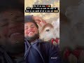 बिन मॉं का बच्चा ❤️🥺 गौमाता गौसेवा short cow cowvideos trendingshorts