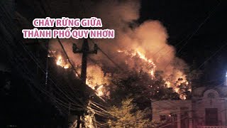 Nửa đêm náo loạn vì cháy rừng trên ngọn núi giữa thành phố Quy Nhơn