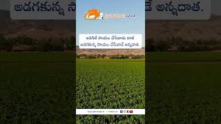 JHK Farmer Quote | Motivational quotes Telugu II Inspirational Quotes II Telugu Quotes #jaihokisan