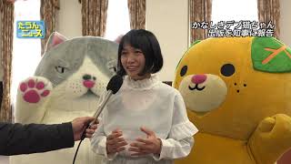 【4K】たうんニュース2019年3月「かなしきデブ猫ちゃん」出版を知事に報告