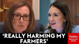 'We Are Not Talking About The Last Administration!': Salinas Grills Brooke Rollins On Diesel Prices