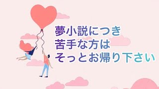 【夢小説】木漏れ日のように【ｼﾞﾐ23】