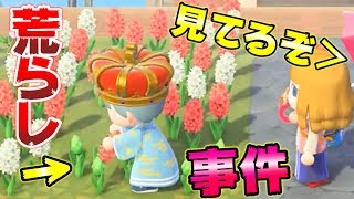 【あつ森】島を自由に開発出来る権限を与えたら裏切られました【あつまれどうぶつの森】【さとみ×ころん】