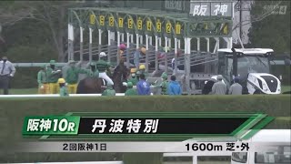 丹波特別［2023.3.25 阪神第10R/1600m 芝］